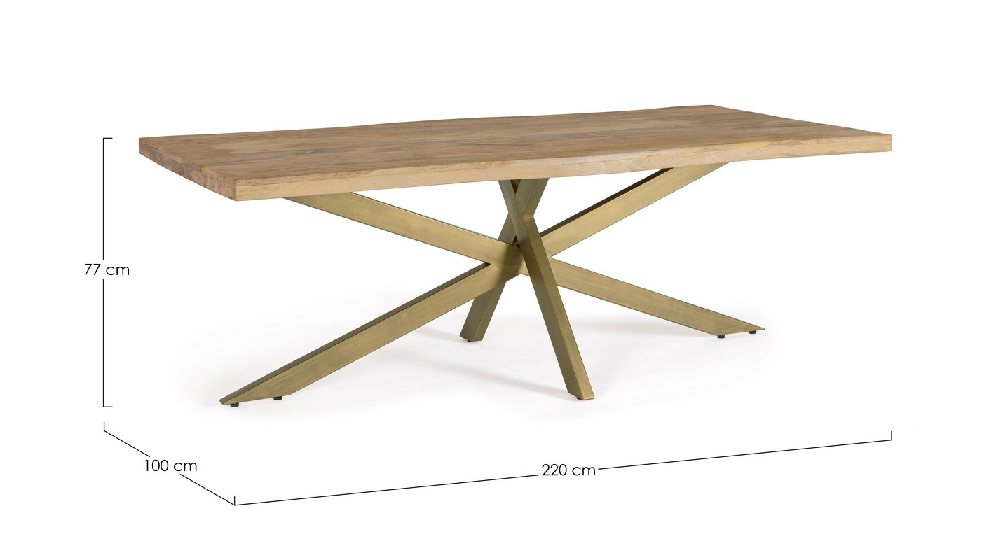 MESA JAIDEV 220X100