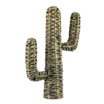 CACTUS SAGUARO VERDE H73