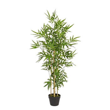 PFLANZE BAMBUS M-TOPF H130CM