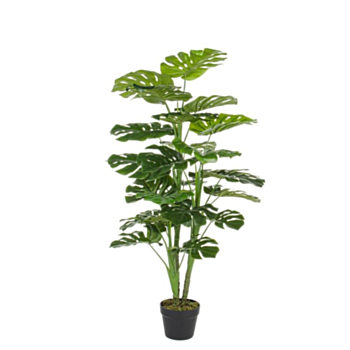 PIANTA FILODENDRO C-VASO 23FOGLIE H120CM