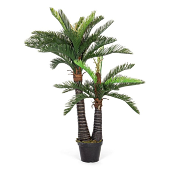 PALME PFLANZE M-VASE 36BL 2ST H150