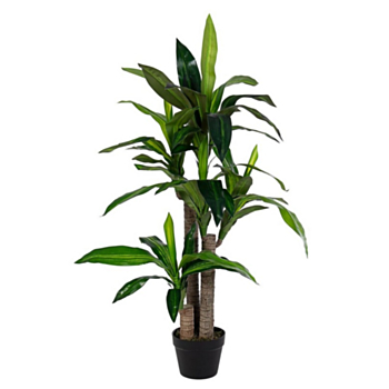 DRACENA PLANT W-VASE 65LEAVES H110
