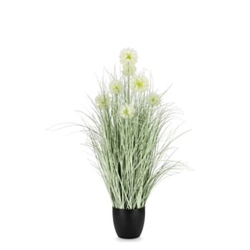 PLANTE CEBOLLA BLANC AC-VASE X7F H105