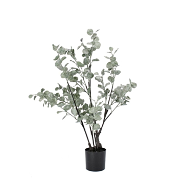 PFLANZE EUKALIPTUS M-VASE H82