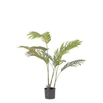 PLANTE KENZIA AC-VASE 9FEUILLES H80