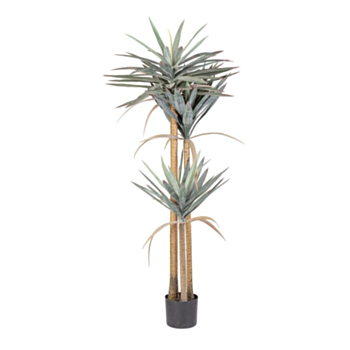 PFLANZE YUCCA M-VASE 120BLÄTTER H152
