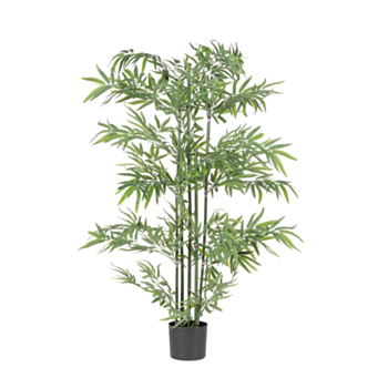 BAMBOO PLANT W-VASE H150