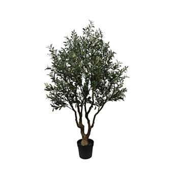 PFLANZE OLIVENBAUM M-TOPF H210