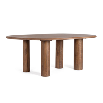 TABLE SANAT 200X120
