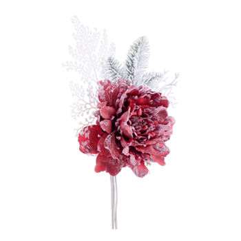 PICK PEONIA GINNY ROSSO INNEVATO