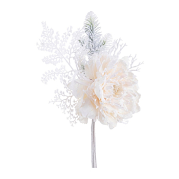 PICK PEONIA GINNY AVORIO INNEVATO