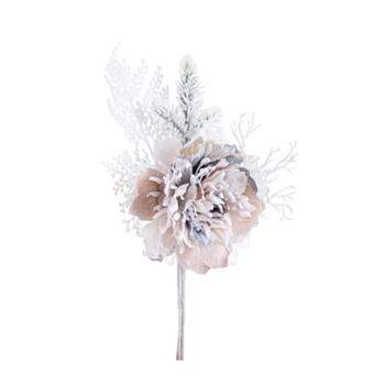 PICK PEONIA GINNY ARMONIA INNEVATO