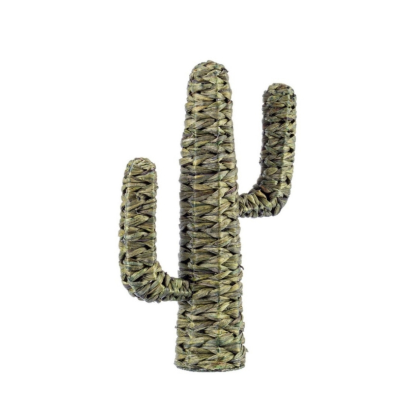 KAKTUS SAGUARO GRÜN H59