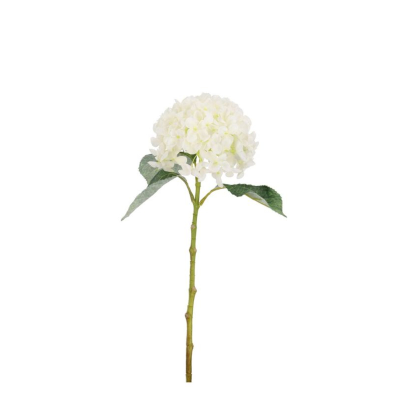 HORTENSIA CHERILYN BLANC H47CM