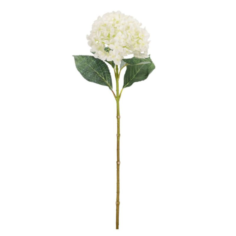 HORTENSIA CHERILYN BLANC H67CM