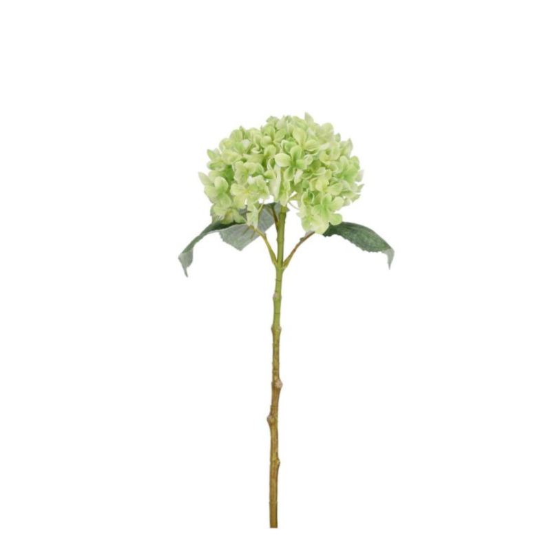 ORTENSIA CHERILYN VERDE H47CM
