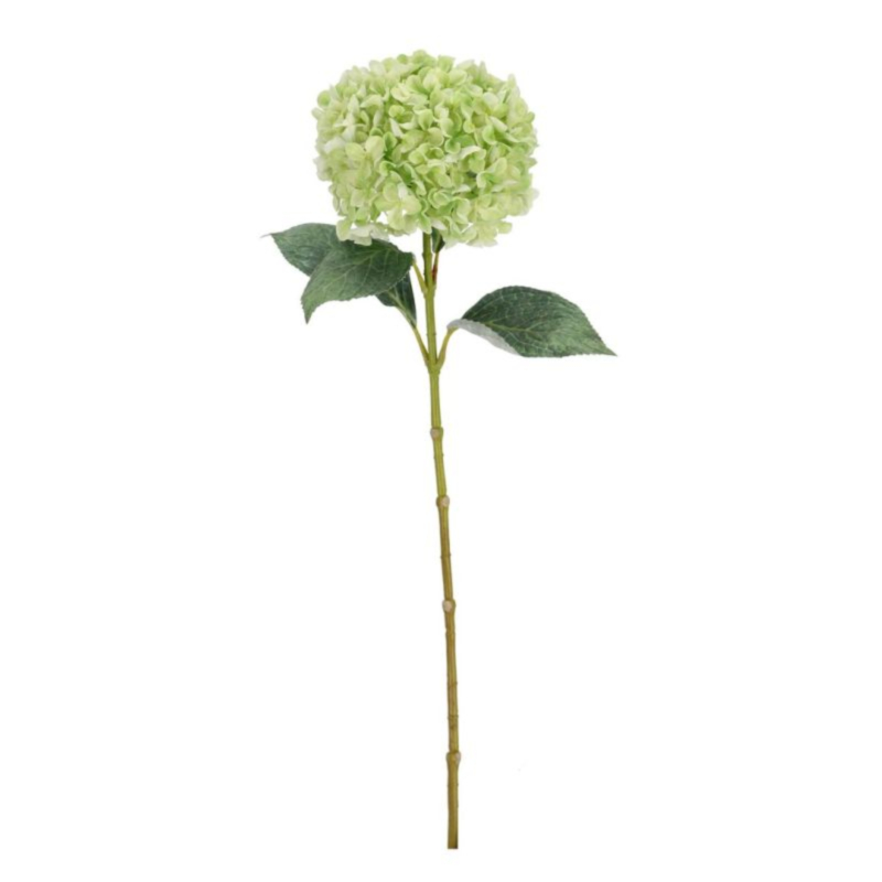 ORTENSIA CHERILYN VERDE H67CM
