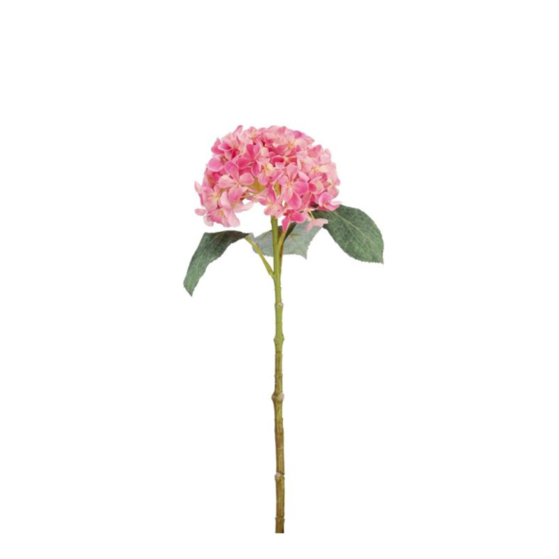 ORTENSIA CHERILYN ROSA H47CM
