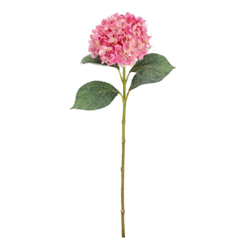 ORTENSIA CHERILYN ROSA H67CM
