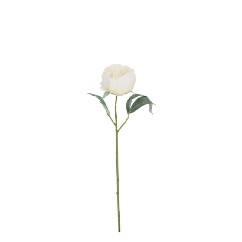 PEONIA EVALYN BIANCO H52CM