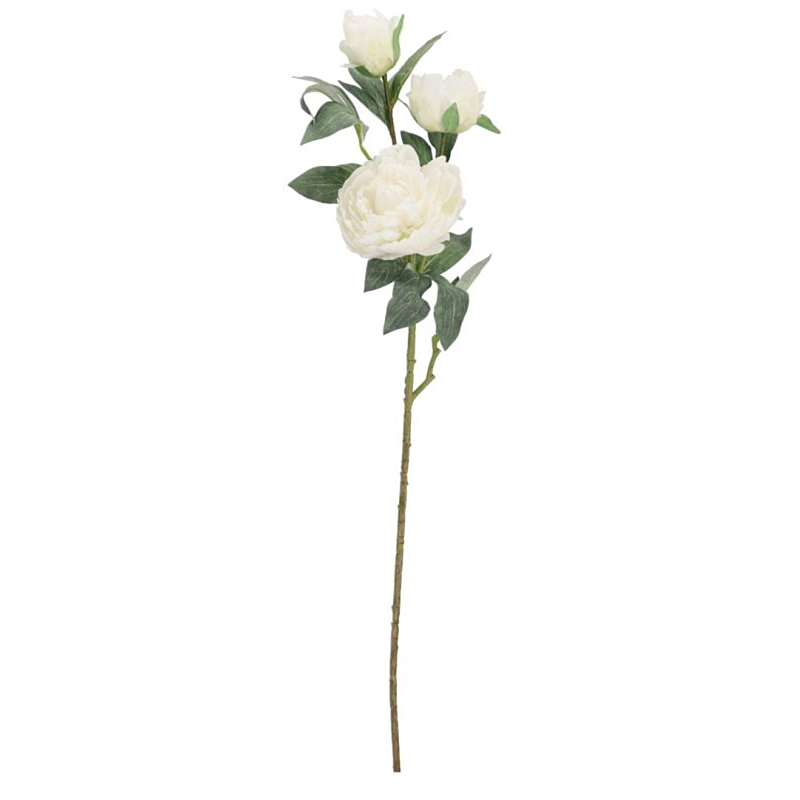 PEONIA EVALYN X3F BIANCO H90CM