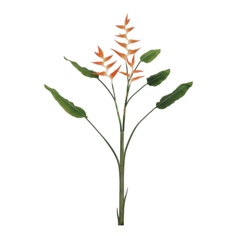 ELICONIA JESSYE X3F+5FOGLIE ARANCIO H172