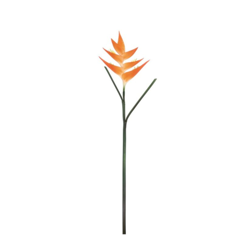 ELICONIA JESSYE ARANCIONE H86CM