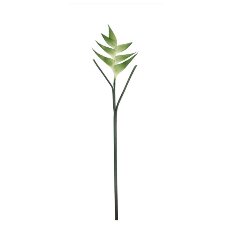 ELICONIA JESSYE VERDE H86CM