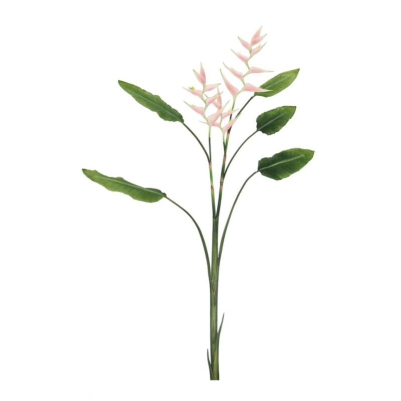 ELICONIA JESSYE X3F+5FOGLIE ROSA H172
