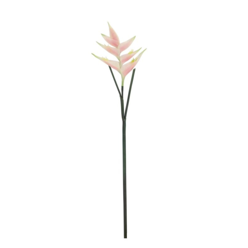 ELICONIA JESSYE ROSA H86CM
