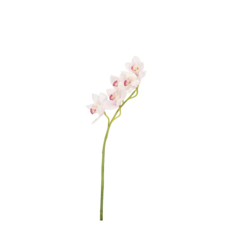 ORCHIDEA DYAN X5F BIANCO H66CM