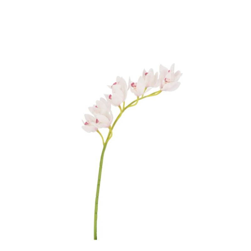 ORCHIDEA DYAN X9F BIANCO H82CM