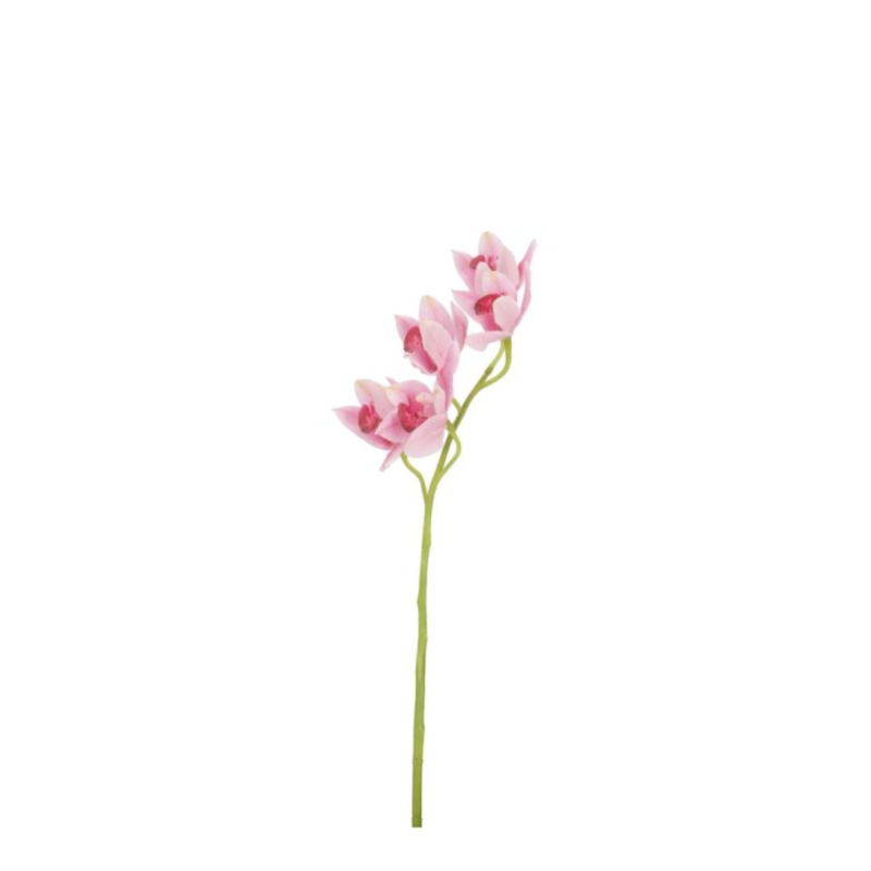 ORCHIDEA DYAN X5F ROSA H66CM