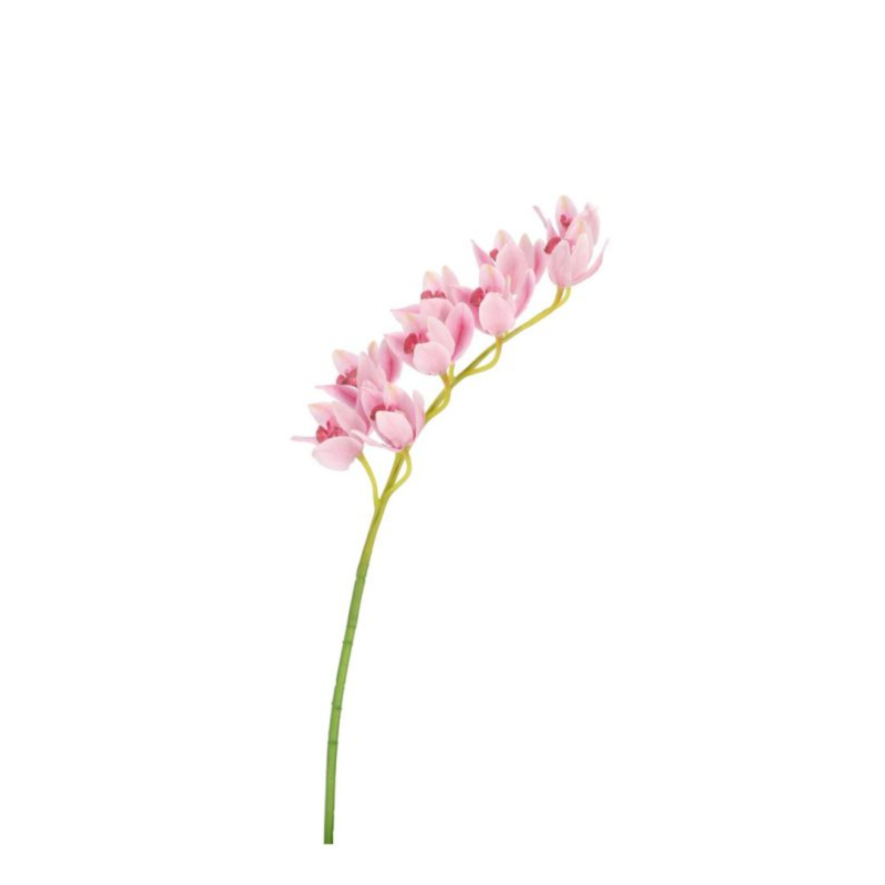 ORCHIDEA DYAN X9F ROSA H82CM