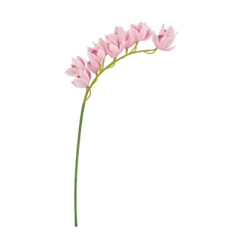 ORCHIDEA DYAN X12F ROSA H104CM