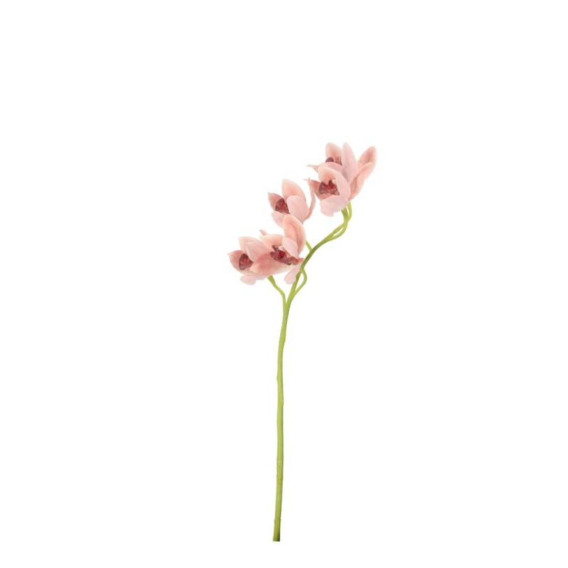 ORCHIDEA DYAN X5F SALMONE H66CM