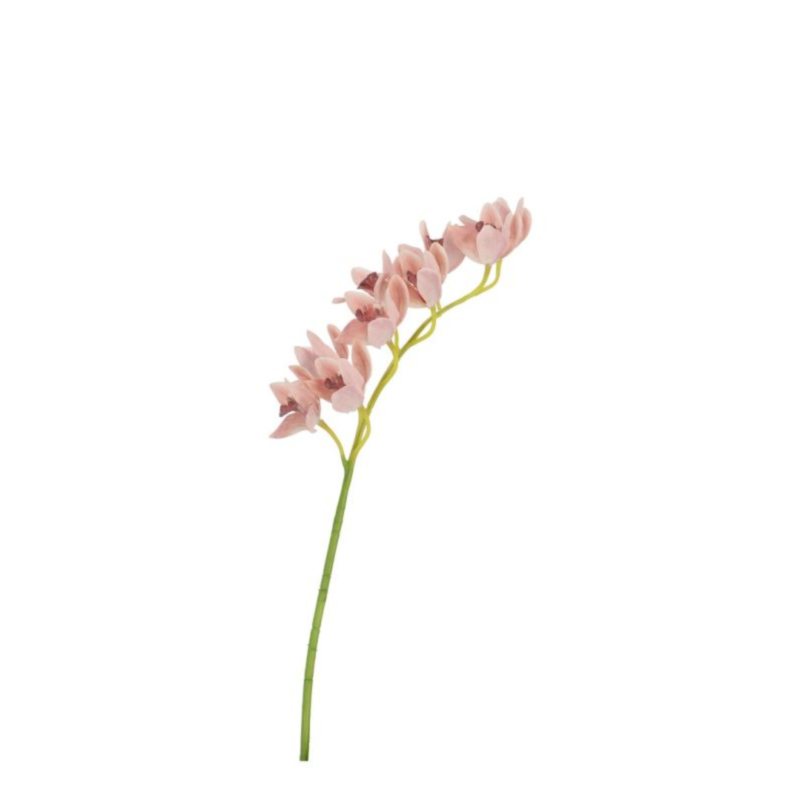 ORCHIDEA DYAN X9F SALMONE H82CM