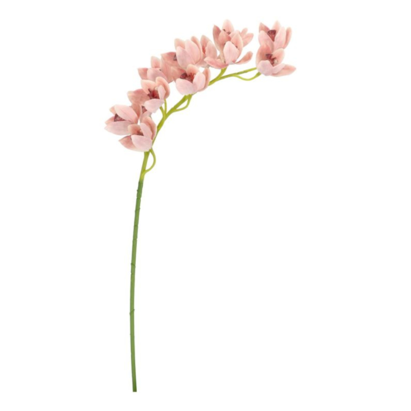 ORCHIDEA DYAN X12F SALMONE H104CM