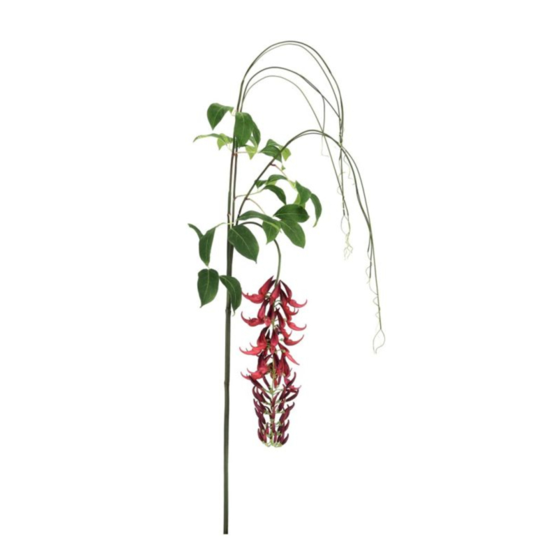 MACUNA KAYLIN ROSSO H210CM