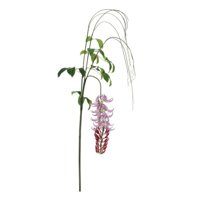 MACUNA KAYLIN VIOLA H210CM