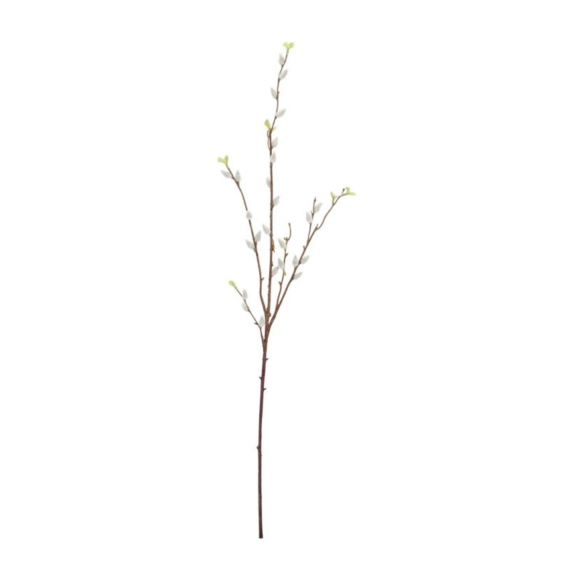 ELAEAGNUS KRISTIE BIANCO H96CM