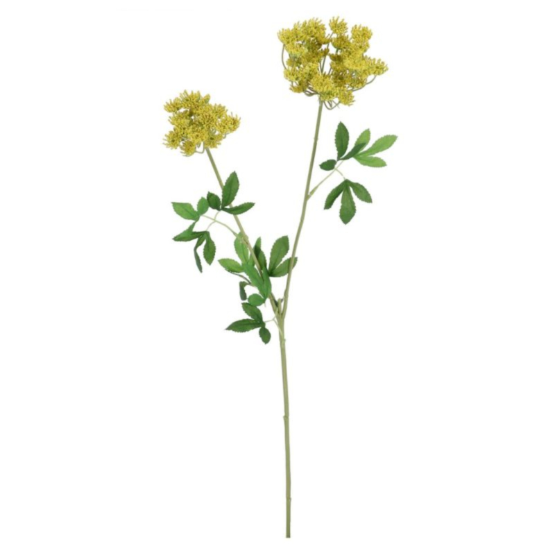 TRADESCANTIA HALLIE X2F GIALLO H69CM