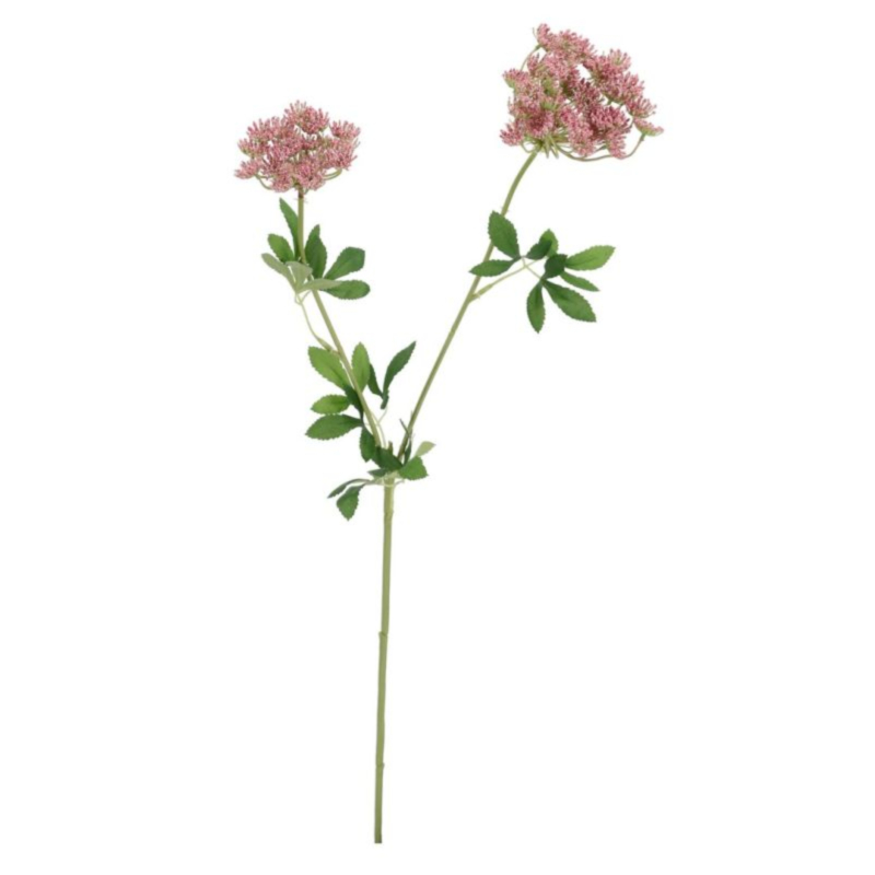 TRADESCANTIA HALLIE X2F ROSA H69CM