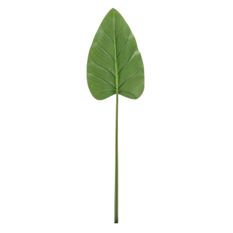 FOGLIA CALLA TOMMY VERDE H115CM