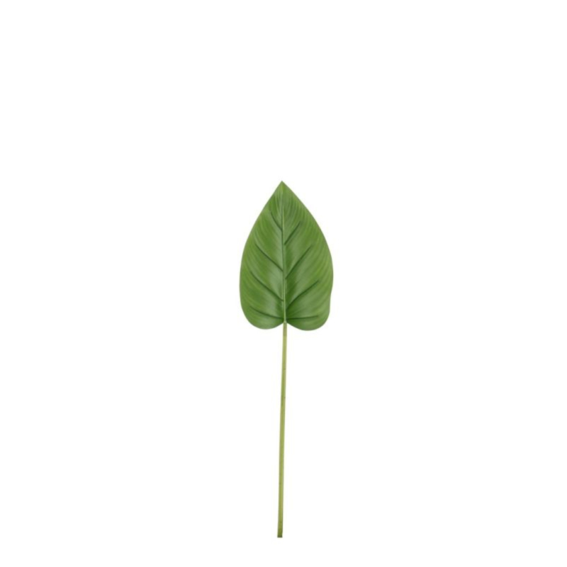 FOGLIA CALLA TOMMY VERDE H72CM