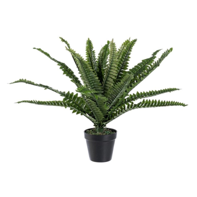 PFLANZE FARN M-TOPF 24BL H45CM