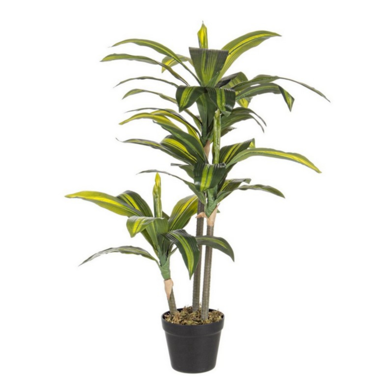 PIANTA DRACANEA C-VASO 43FOGLIE H88CM