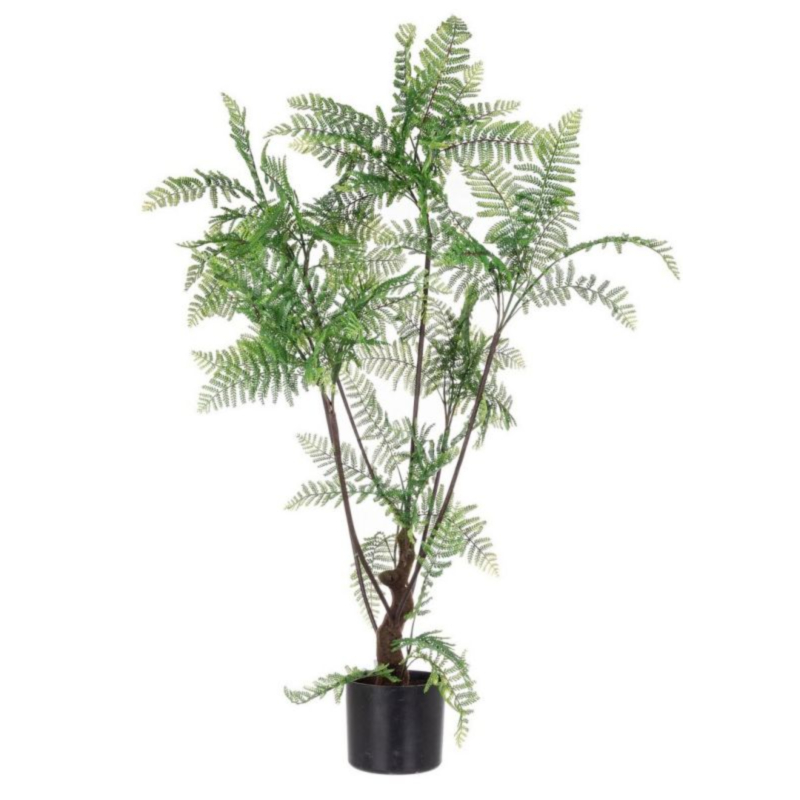 PFLANZE FARN M-TOPF 75BL H108
