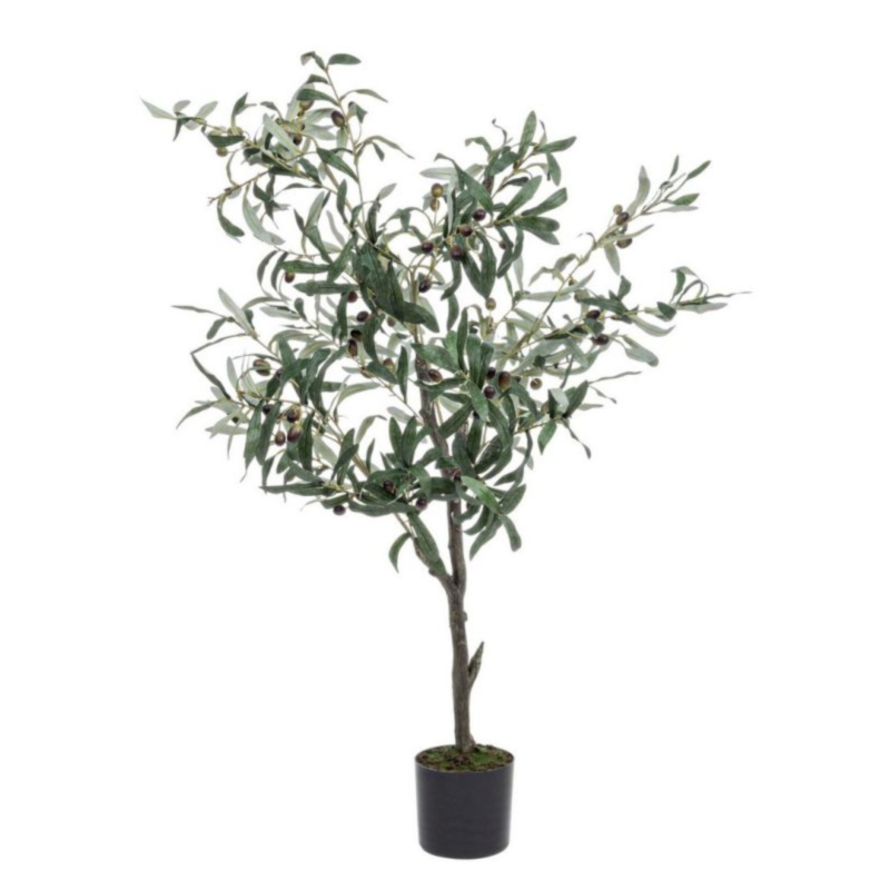 PIANTA ULIVO C-VASO 492FOGLIE H120