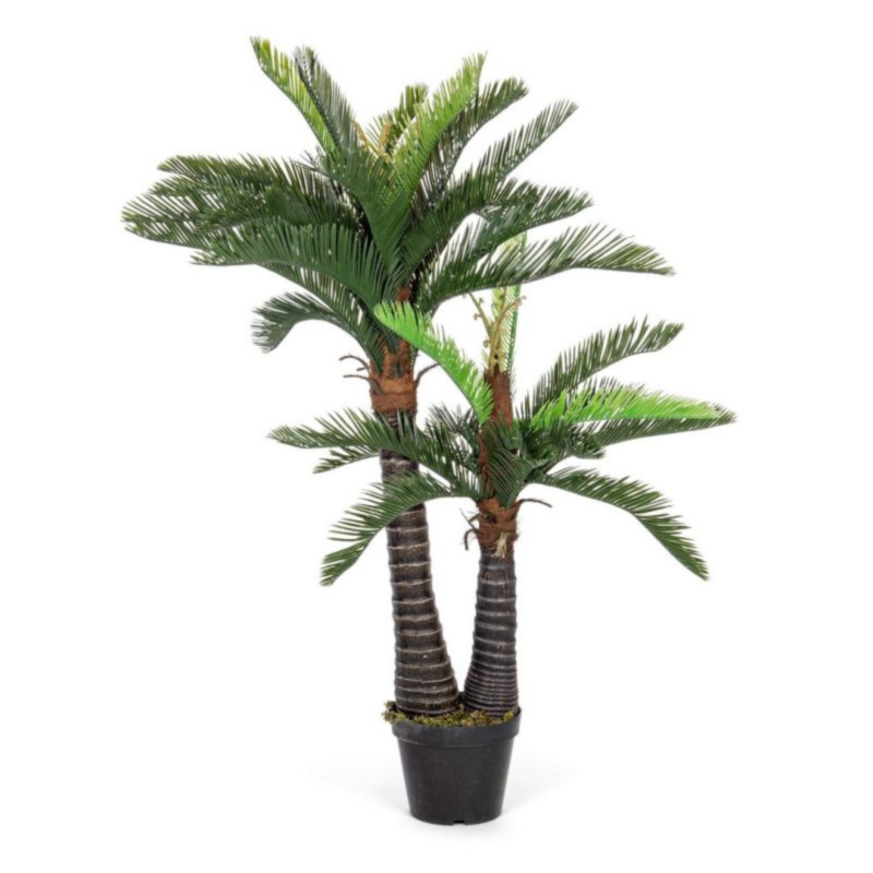 PALME PFLANZE M-VASE 36BL 2ST H150